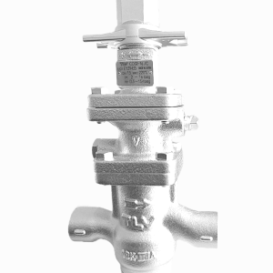 Reductor presiune abur filet COSR3